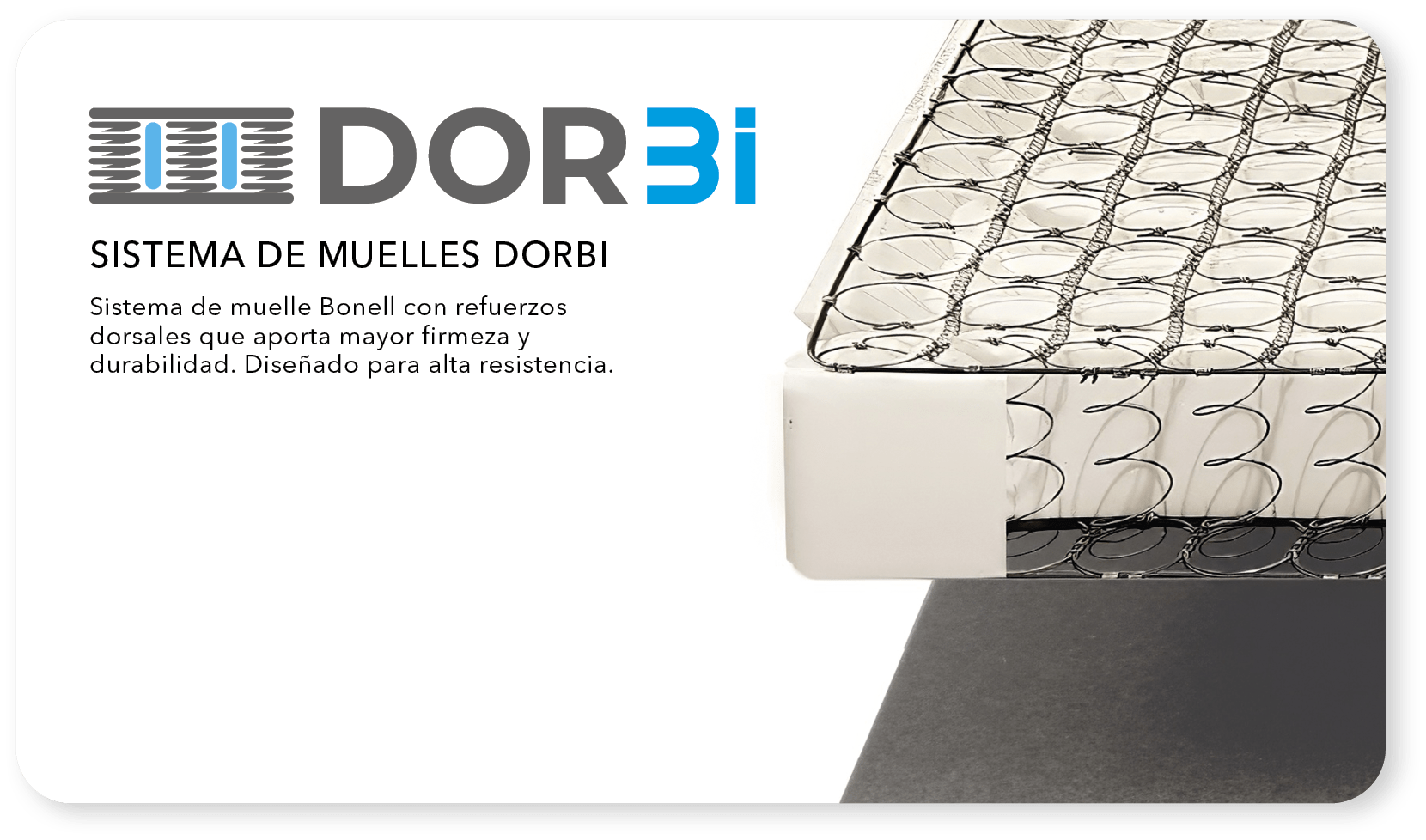 dorbi