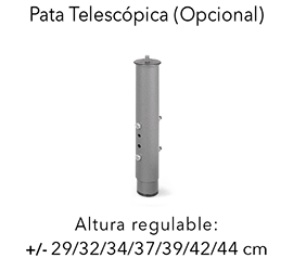 pata-telescopica
